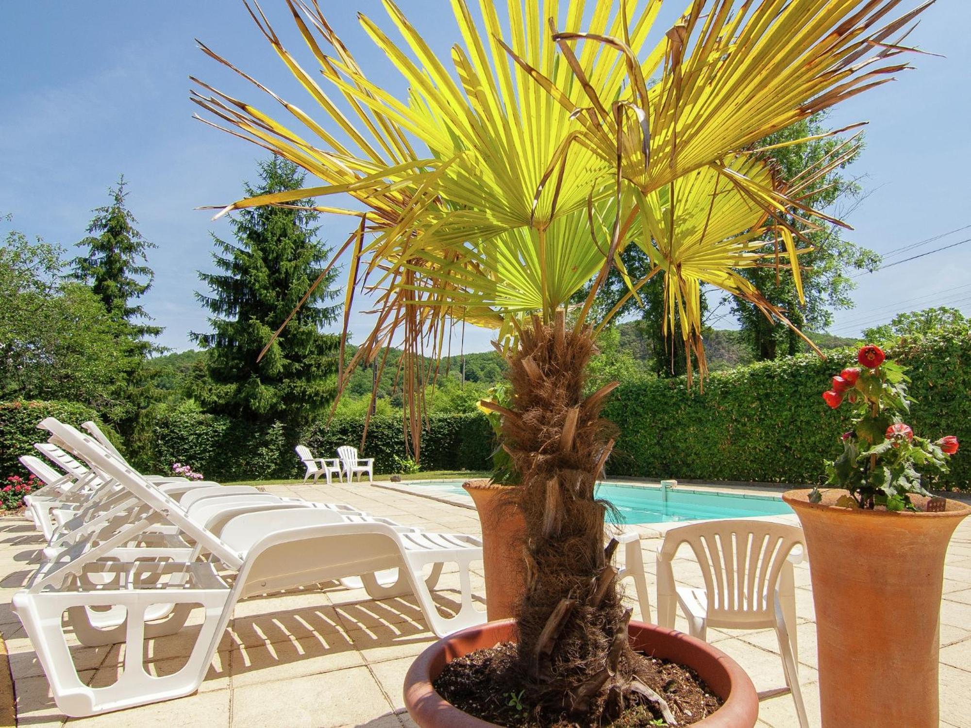 Appealing Apartment In Vezac With Swimming Pool Beynac-et-Cazenac Exteriér fotografie